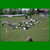 IMG_3906.JPG