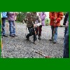 Festwoche_2010_Fr_19.jpg