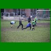 IMG_3803.JPG