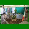 IMG_4117.JPG