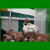 IMG_4202.JPG