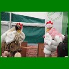 IMG_4205.JPG