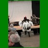 IMG_4208.JPG