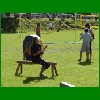 FamTag_08_98.jpg