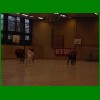 REWE_Pokal_2012_28.jpg
