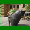 Turnfest_09_93.jpg