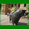 Turnfest_09_94.jpg