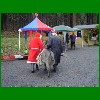 Weihnachtsmarkt_09_39.jpg