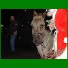 Weihnachtsmarkt_09_56.jpg